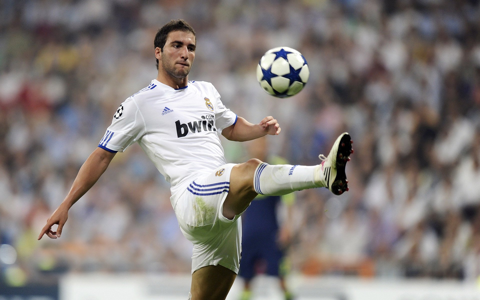 曝阿莫林与安德森通道交谈,其明夏愿加盟曼联!冬窗9000万豪购没戏